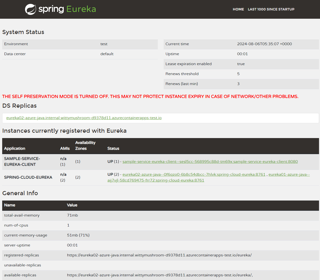 Screenshot di una dashboard di Eureka Server per Spring a disponibilità elevata.