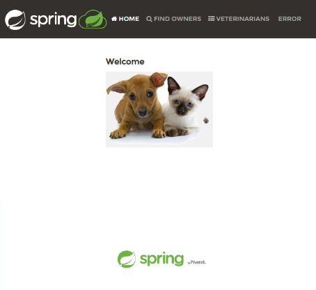 Screenshot dell'app petclinic.