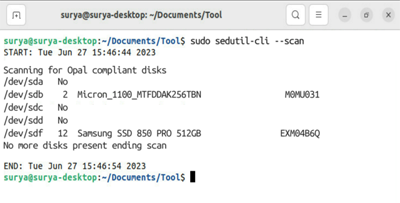 Acquisizione dello schermo che mostra i risultati riusciti durante l'analisi di un sistema per Data Box Disks.