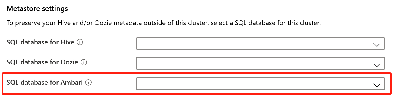 Database Ambari personalizzato.