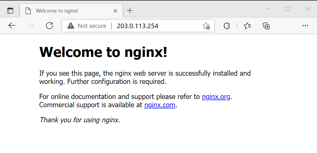 Screenshot del test del server Web NGINX.