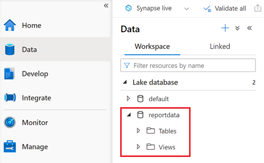 Screenshot del riquadro Dati che mostra il database reportdata