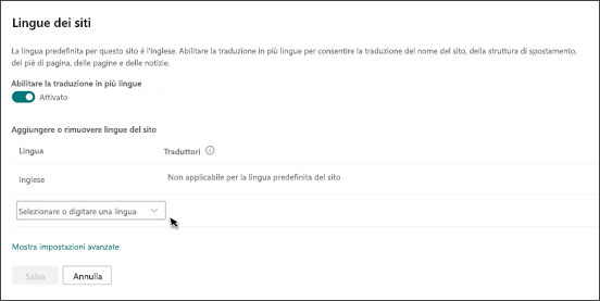 Immagine delle impostazioni multilingue nel pannello impostazioni avanzate.