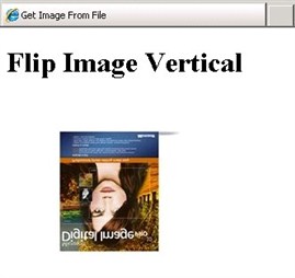 [Screenshot che mostra la pagina Flip Image Vertical.]