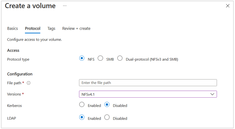 Screenshot che mostra l'opzione Crea un volume con l'opzione LDAP.