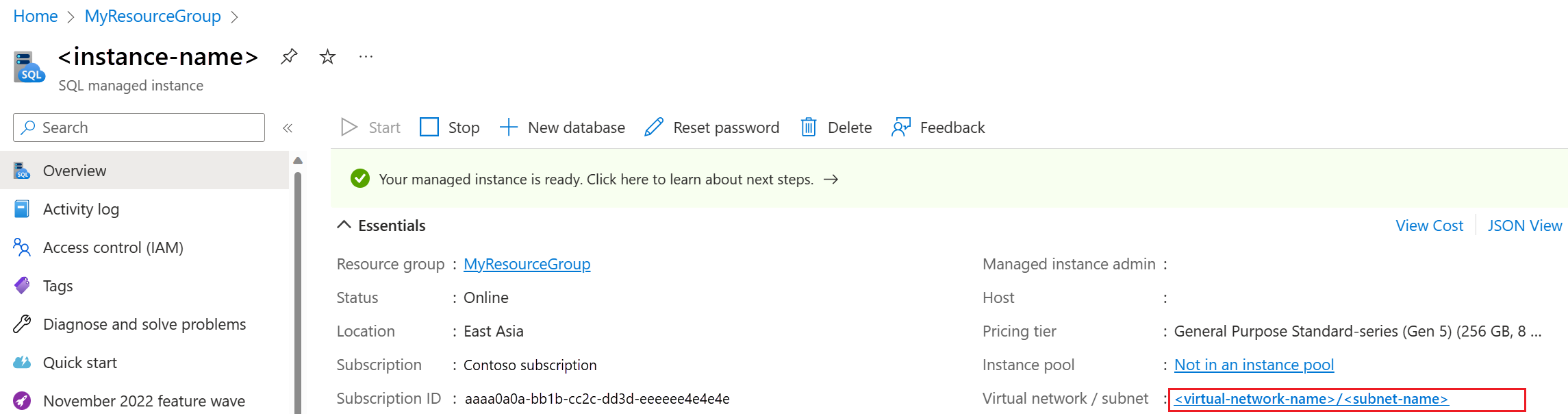 Screenshot della pagina di panoramica dell'Istanza gestita di SQL nel portale di Azure, con la subnet selezionata.