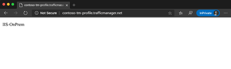 Screenshot della finestra del browser che mostra il traffico indirizzato all'ambiente locale.