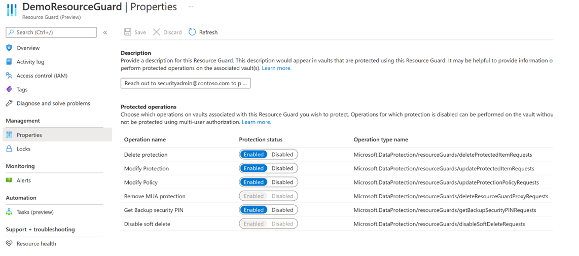 Screenshot che mostra le proprietà demo di Resource Guard.