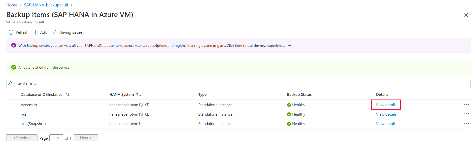 Screenshot che mostra dove visualizzare i dettagli dell'istanza del database di sistema.