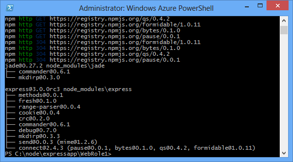 Output del comando npm install