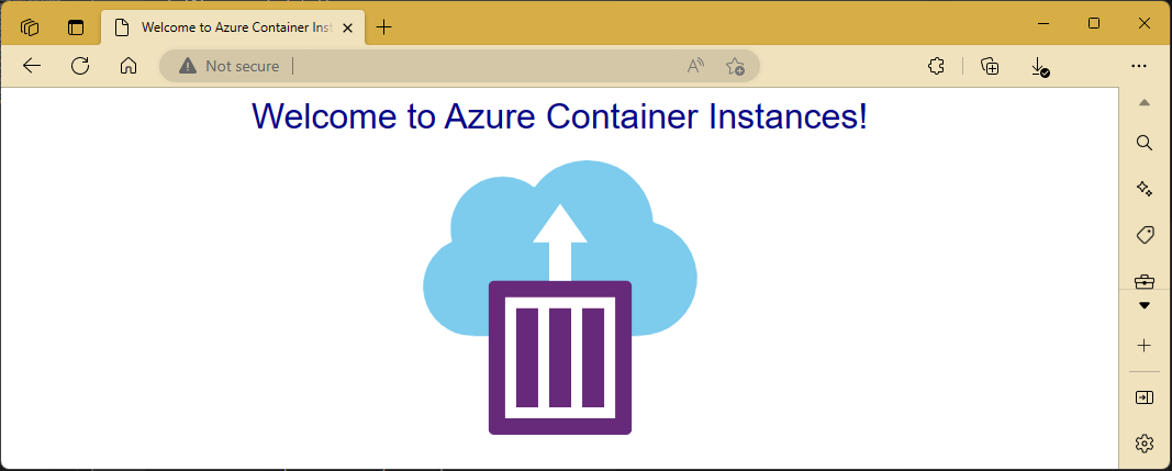 Screenshot della pagina di esempio di Istanze di Azure Container