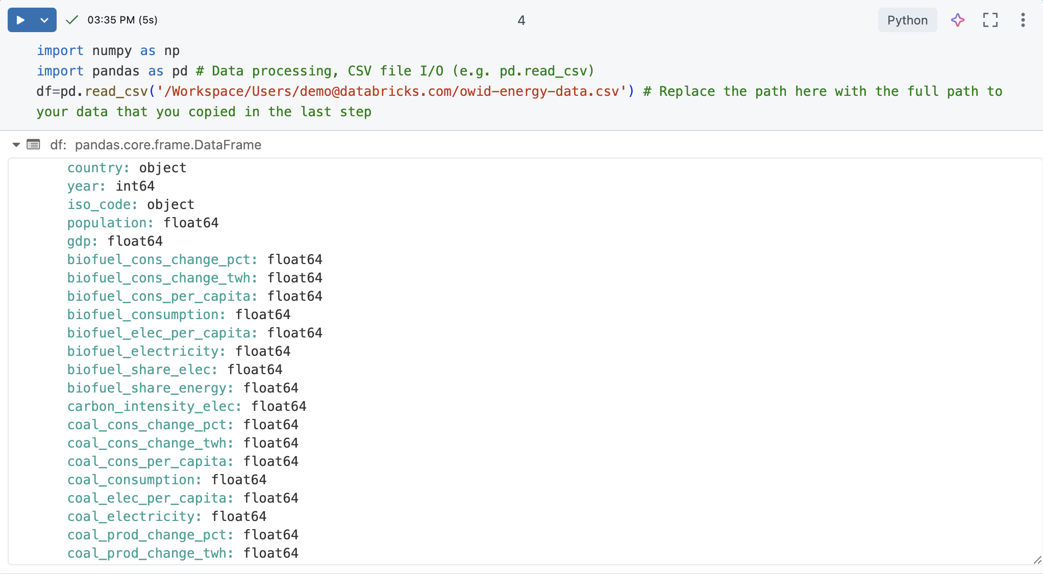 Cell output of the imported DataFrame.