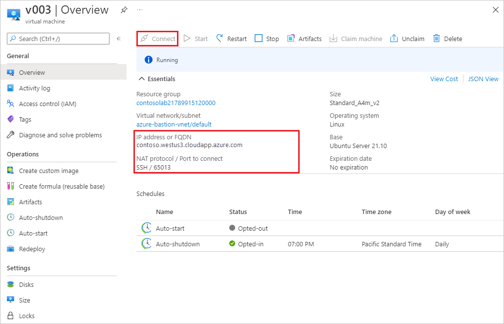 Screenshot che mostra le opzioni di connessione RDP e SSH in una pagina Panoramica della macchina virtuale.