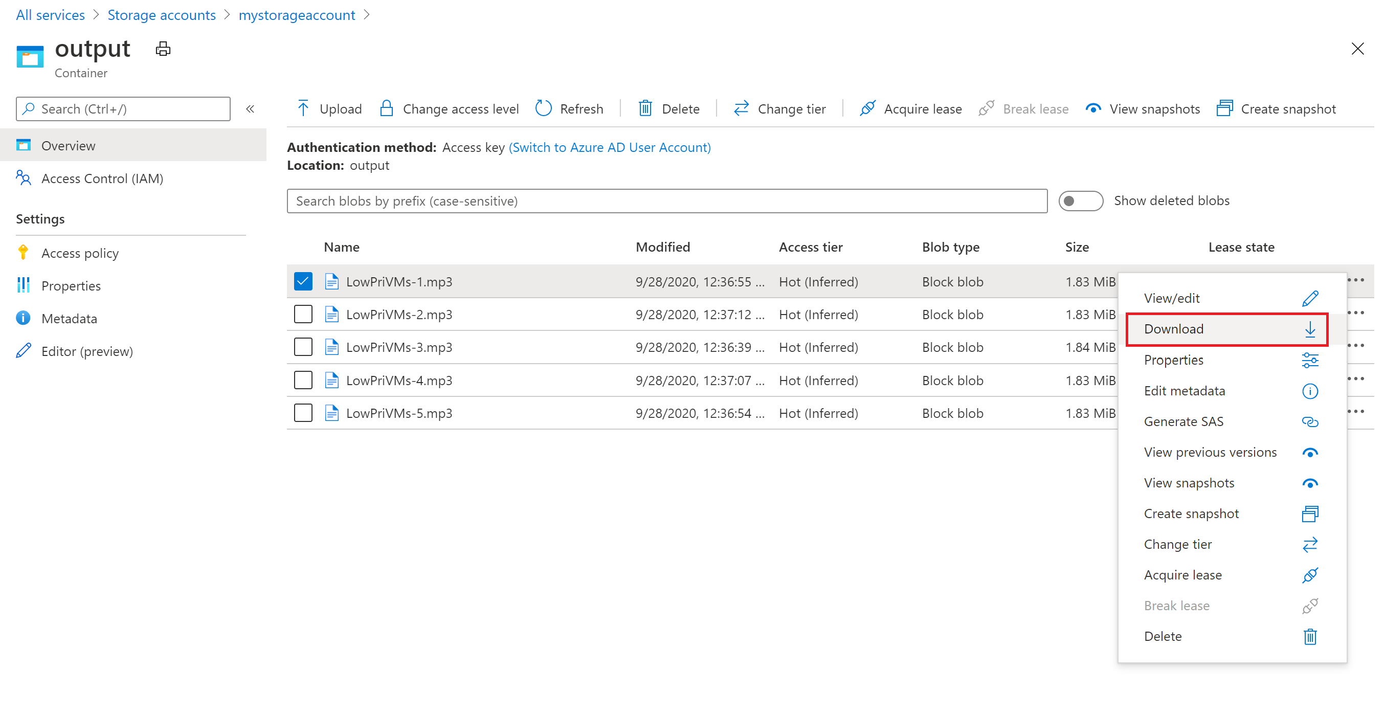 Scaricare il file di output