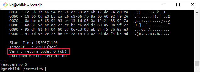 Screenshot della modalità di verifica di una connessione del gateway.