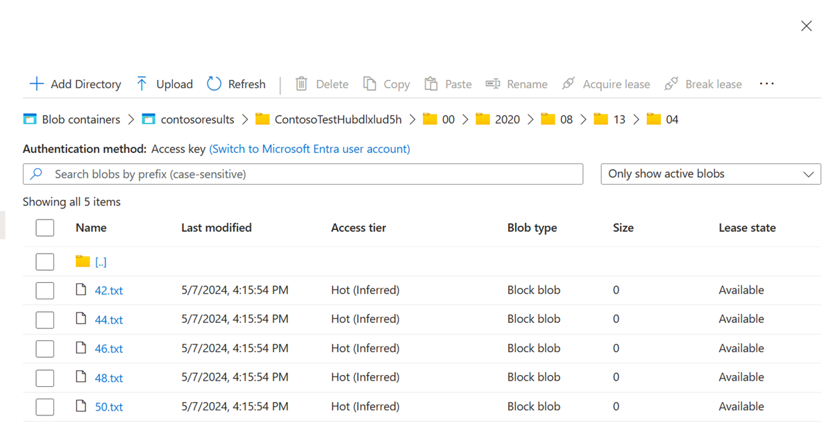 Esaminare i file dell'account di archiviazione