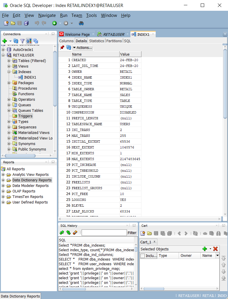 Screenshot che mostra come eseguire query su tabelle e viste del catalogo di sistema in Oracle SQL Developer.