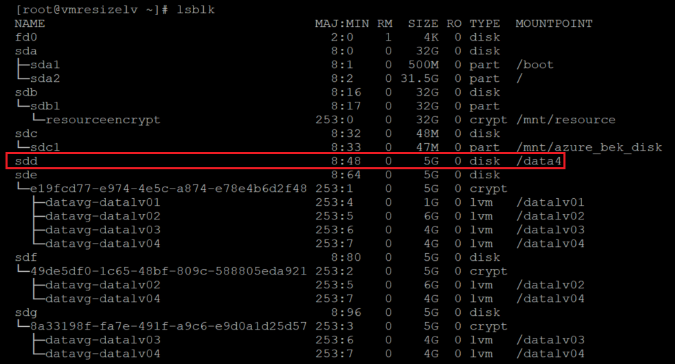 Screenshot che mostra codice aggiuntivo che verifica che il file system sia montato con il risultato evidenziato.