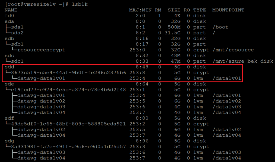 Screenshot che mostra il codice che verifica che il livello LVM si trova sopra il livello crittografato con il risultato evidenziato.