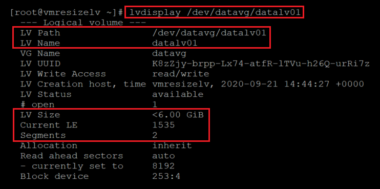 Screenshot che mostra il codice che verifica le nuove dimensioni del volume locale con i risultati evidenziati.