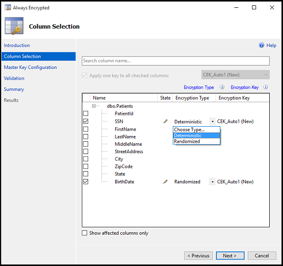 Figure 9-6 Selecting columns in a table to be encrypted using Always Encrypted