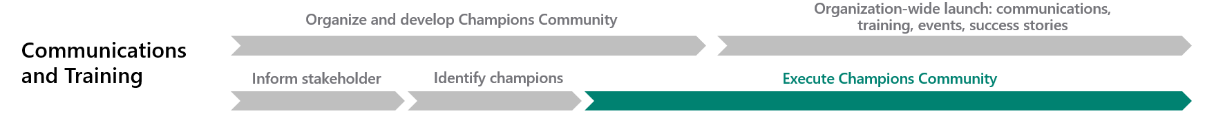 Fase di attuazione della community di promotori.