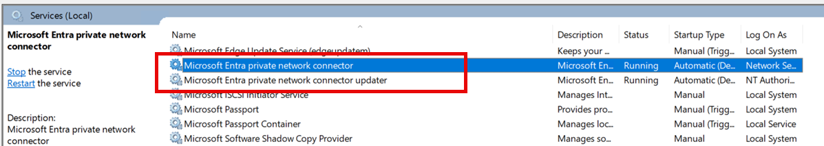 Screenshot del connettore della rete privata e dei servizi di Connector Updater in Windows Services Manager.