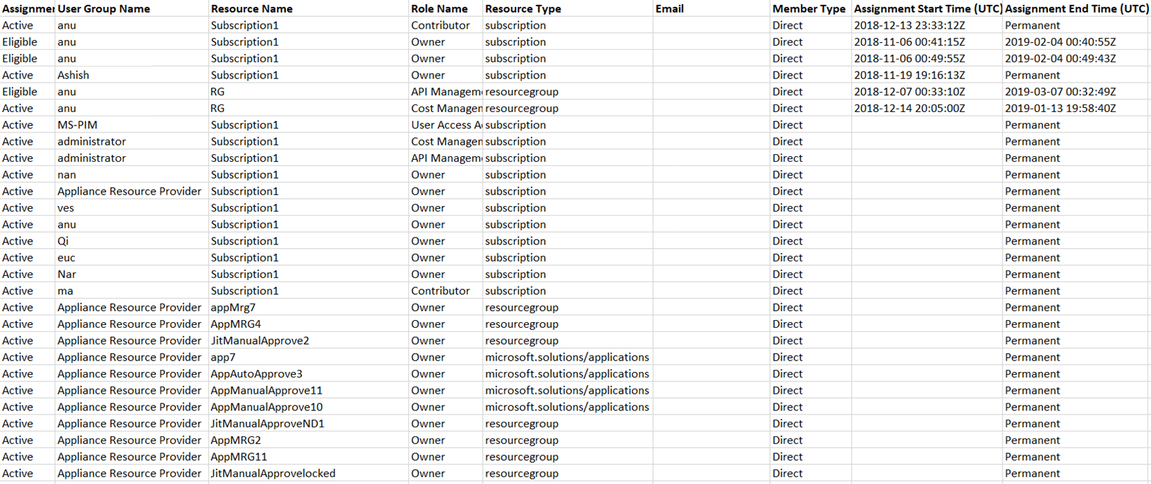 Screenshot che mostra le assegnazioni dei ruoli esportate nel file CSV visualizzato in Excel.