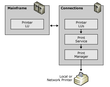 Immagine che mostra le connessioni tra la stampa mainframe e la stampante locale.