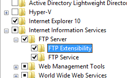 Screenshot delle opzioni secondarie di Internet Information Services nella pagina Programmi e funzionalità nel pannello di controllo di Windows 8. Le caselle FTP Extensibility e FTP Servie sono selezionate.