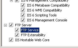 Screenshot del riquadro Server Web (IIS) nel pannello di controllo di amministrazione di Windows Server 2008. La casella Servizio FTP è selezionata.