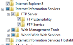 Screenshot delle opzioni secondarie del server FTP in Internet Information Services nella pagina Attiva o disattiva funzionalità di Windows nel pannello di controllo di Windows 7. Le caselle Ftp Extensibility e FTP Service sono selezionate.