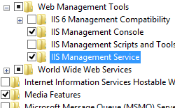 Screenshot del riquadro Internet Information Services e Strumenti di gestione Web espanso con I S Management Service selezionato.