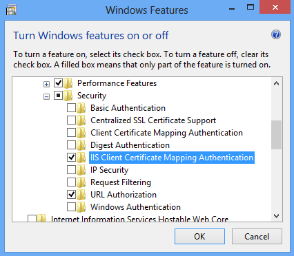 Screenshot della cartella I S Client Certificate Mapping Authentication evidenziata e selezionata.