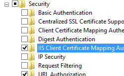 Screenshot del riquadro World Wide Web Services and Security (Servizi Web e sicurezza) espanso e L'opzione I S Client Certificate Mapping Authentication (Autenticazione di mapping certificati client I S) selezionata.