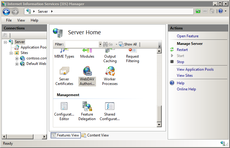 Screenshot che mostra il riquadro Home server con web DAV Authoring Rules selezionato.