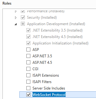 Screenshot dell'elenco Sviluppo di applicazioni che mostra l'opzione Protocollo WebSocket selezionata.