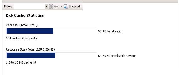 Screenshot dell'icona Monitoraggio e gestione. Vengono visualizzate le statistiche della cache del disco di runtime.