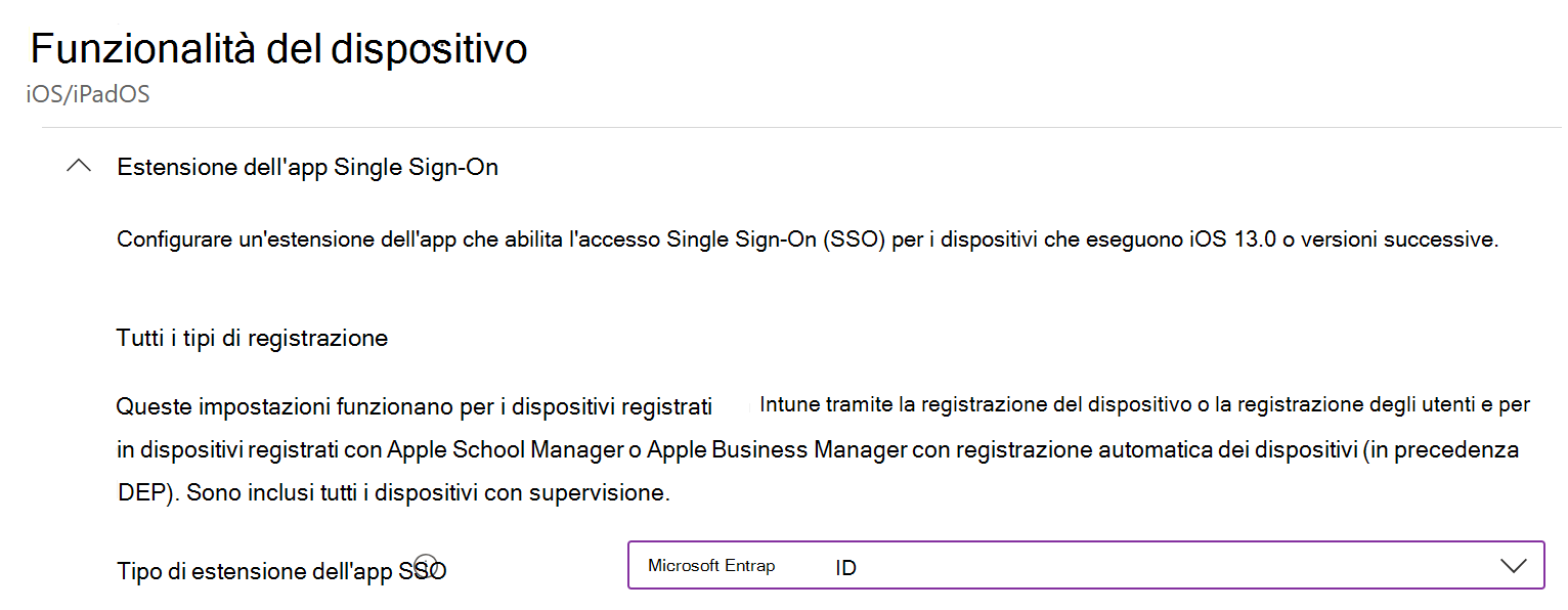 Screenshot che mostra il tipo di estensione dell'app SSO e Microsoft Entra ID per iOS/iPadOS in Intune.