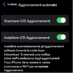 Screenshot che mostra le impostazioni di aggiornamento automatico nei dispositivi Apple iOS/iPadOS.