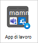 Screenshot della cartella del profilo di lavoro in un dispositivo Surface Duo.