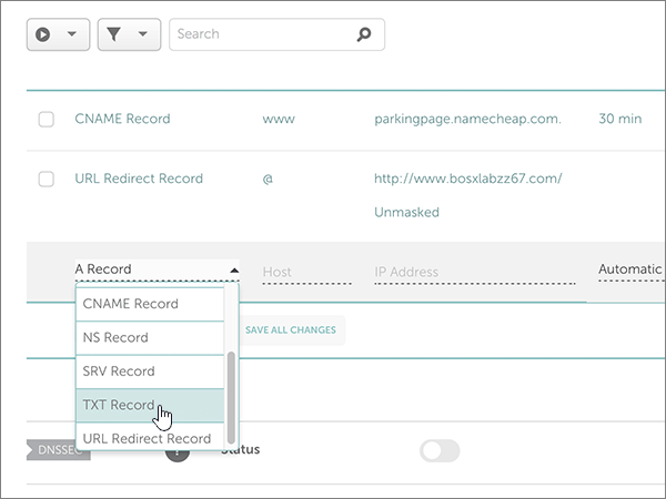 Selezionare TXT Record per il record TXT di verifica del dominio.