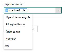 Screenshot della parte Impostazioni avanzate del pannello Nuovo estrattore di entità che mostra l'opzione Tipo di colonna.