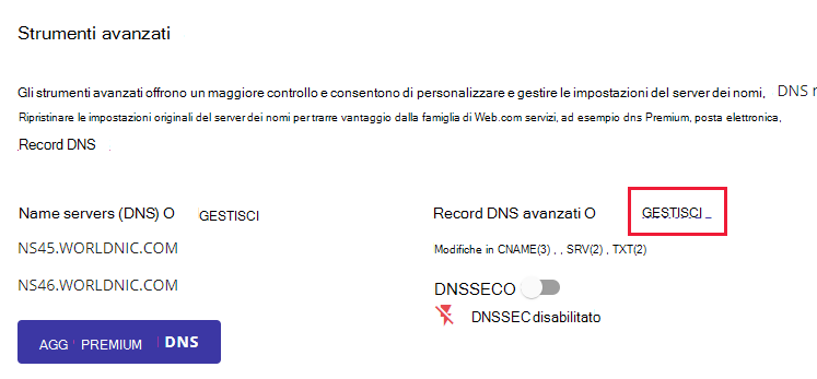 Accanto a Record DNS avanzati selezionare GESTISCI.