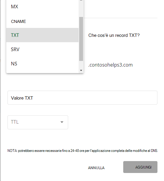 Selezionare TXT dall'elenco a discesa Tipo per il record TXT di verifica del dominio.