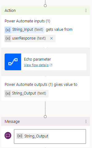 Screenshot di un nodo Azione per il flusso di parametri eco.