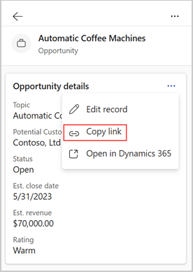 Screenshot che mostra Copia collegamento dai dettagli del record.