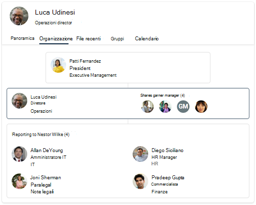 Screenshot del grafico dell'organizzazione con tre livelli diversi.