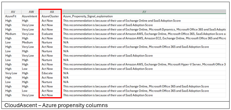 Screenshot del report CloudAscent con le colonne AzureCluster evidenziate.