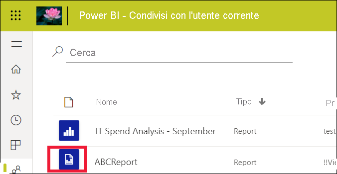 Screenshot che mostra l'elenco di report con un report standard e un report impaginato.